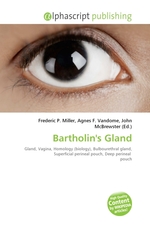 Bartholins Gland