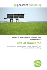 Live at Bonnaroo