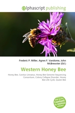 Western Honey Bee