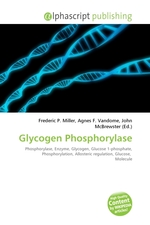 Glycogen Phosphorylase