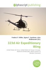 323d Air Expeditionary Wing