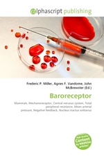 Baroreceptor