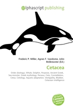 Cetacea