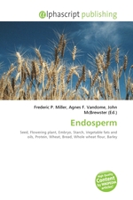 Endosperm