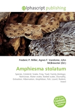 Amphiesma stolatum