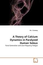 A Theory of Calcium Dynamics in Paralyzed Human Soleus. Force Generation and Low-Frequency Fatigue