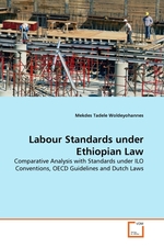 Labour Standards under Ethiopian Law. Comparative Analysis with Standards under ILO Conventions, OECD Guidelines and Dutch Laws