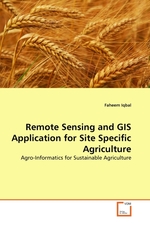 Remote Sensing and GIS Application for Site Specific Agriculture. Agro-Informatics for Sustainable Agriculture