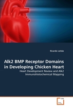 Alk2 BMP Receptor Domains in Developing Chicken Heart. Heart Development Review and Alk2 Immunohistochemical Mapping