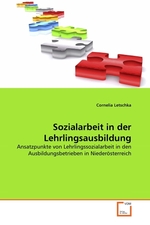 Sozialarbeit in der Lehrlingsausbildung. Ansatzpunkte von Lehrlingssozialarbeit in den Ausbildungsbetrieben in Nieder?sterreich