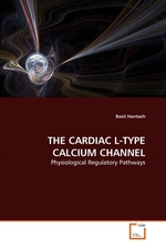 THE CARDIAC L-TYPE CALCIUM CHANNEL. Physiological Regulatory Pathways