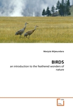 BIRDS. an introduction to the feathered wonders of nature