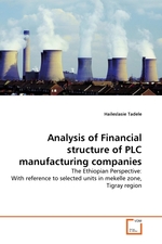 Analysis of Financial structure of PLC manufacturing companies. The Ethiopian Perspective: With reference to selected units in mekelle zone, Tigray region