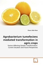 Agrobacterium tumefeciens mediated transformation in agric.crops. Factors Affecting Genetic Transformation: Current Situation and Future Perspectives