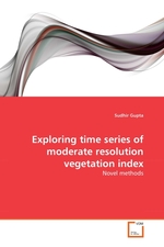 Exploring time series of moderate resolution vegetation index. Novel methods