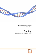 Cloning. expression of amylase gene