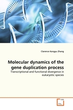 Molecular dynamics of the gene duplication process. Transcriptional and functional divergence in eukaryotic species