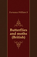 Butterflies and moths (British)