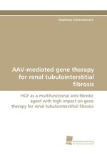 AAV-mediated gene therapy for renal tubulointerstitial fibrosis. HGF as a multifunctional anti-fibrotic agent with high impact on gene therapy for renal tubulointerstitial fibrosis