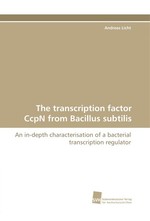 The transcription factor CcpN from Bacillus subtilis. An in-depth characterisation of a bacterial transcription regulator