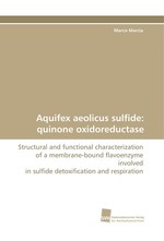 Aquifex aeolicus sulfide: quinone oxidoreductase. Structural and functional characterization of a membrane-bound flavoenzyme involved in sulfide detoxification and respiration