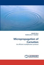 Micropropagation of Carnation. An efficient multiplication protocol