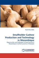 Smallholder Cashew Production and Technology in Mozambique. Opportunities and Challenges to Food Security in Mozambiques northern province of Nampula