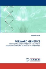 FORWARD GENETICS. FINDING MUTANTS THAT DEFECT in JASMONIC ACID/AUXIN SIGNALING PATHWAYS IN ARABIDOPSIS