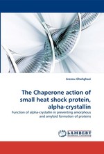 The Chaperone action of small heat shock protein, alpha-crystallin. Function of alpha-crystallin in preventing amorphous and amyloid formation of proteins