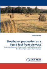 Bioethanol production as a liquid fuel from biomass. Strain development of genetically modified bacteria for bioethanol production from biomass
