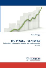 BIG PROJECT VENTURES. facilitating a collaborative planning and implementation process