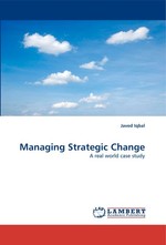 Managing Strategic Change. A real world case study