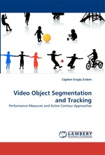 Video Object Segmentation and Tracking. Performance Measures and Active Contour Approaches