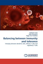 Balancing between immunity and tolerance. Interplay between dendritic cells, effector T cells and regulatory T cells