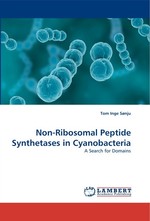 Non-Ribosomal Peptide Synthetases in Cyanobacteria. A Search for Domains