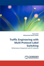 Traffic Engineering with Multi-Protocol Label Switching. Performance Comparison with IP networks