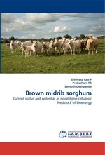Brown midrib sorghum. Current status and potential as novel ligno-cellulosic feedstock of bioenergy