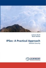 IPSec: A Practical Approach. Network Security