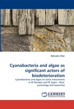 Cyanobacteria and algae as significant actors of biodeterioration. Cyanobacteria and algae on stone monuments in W Slovakia and SE Spain - flora, aurecology and taxonomy