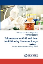 Telomerase in A549 cell line: Inhibition by Curcuma longa extract. Possible therapeutic effect in lung cancer