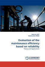 Evaluation of the maintenance efficiency based on reliability. Theory and Applications