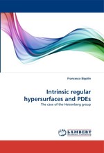 Intrinsic regular hypersurfaces and PDEs. The case of the Heisenberg group