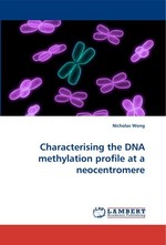 Characterising the DNA methylation profile at a neocentromere