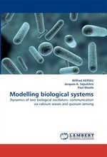 Modelling biological systems. Dynamics of two biological oscillators: communication via calcium waves and quorum sensing