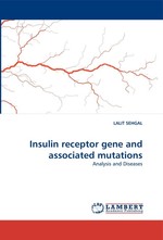 Insulin receptor gene and associated mutations. Analysis and Diseases