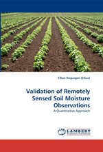 Validation of Remotely Sensed Soil Moisture Observations. A Quantitative Approach