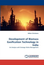 Development of Biomass Gasification Technology in India. An Analysis with Strategic Niche Management