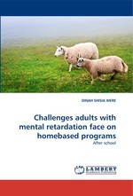 Challenges adults with mental retardation face on homebased programs. After school