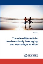 The microRNA miR-34 mechanistically links aging and neurodegeneration