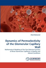 Dynamics of Permselectivity of the Glomerular Capillary Wall. Mathematical Modeling of the Size-Selective Function of Renal Glomerular Capillaries in Healthy and Altered Conditions